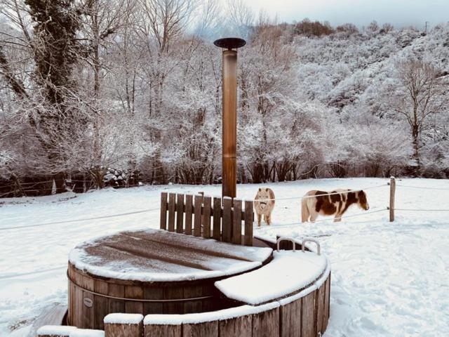 Chalet Le Fario, Bain Nordique Frechet-Aure エクステリア 写真